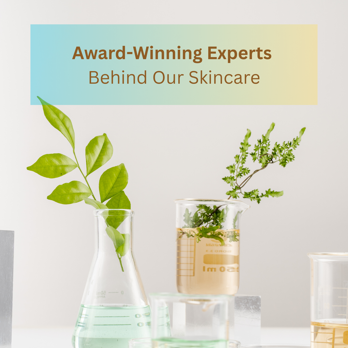 Anti-Aging, Anti Wrinkle Skincare Set - Certified Natural - FDA Compliant - Safe & No Harmful Chemicals